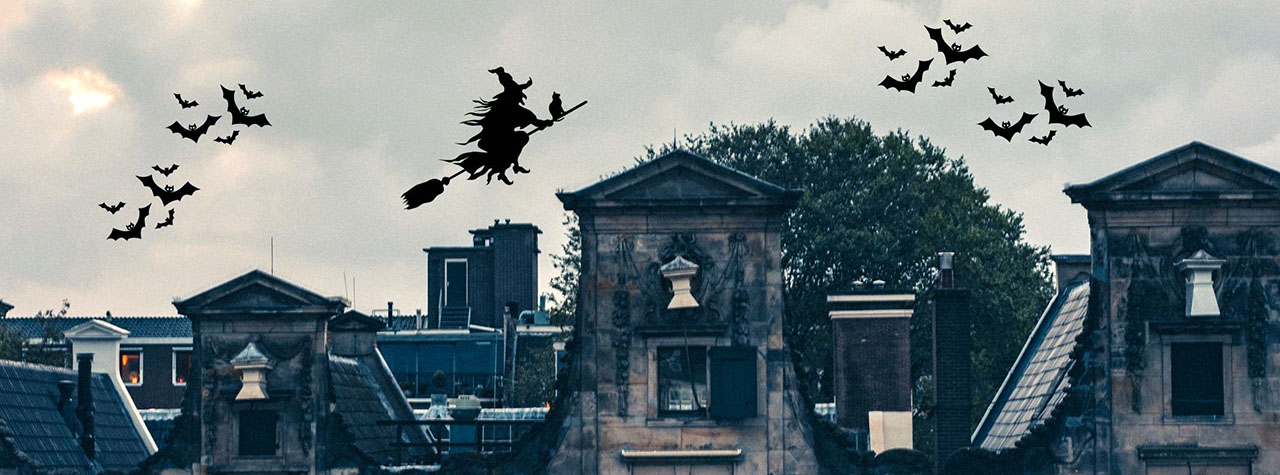 Witch rides on broomstick over spooky houses with black cat & bats. Composite image based on image of spooky houses by Ehud Neuhaus on Unsplash