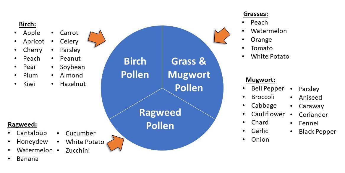 pie-chart-shows-OAS-trigger-foods-by-pollen-category