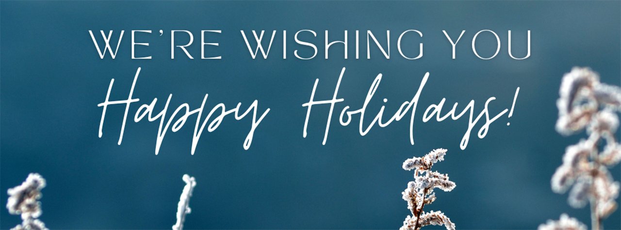 we-are-wishing-you happy-holidays-blue-background