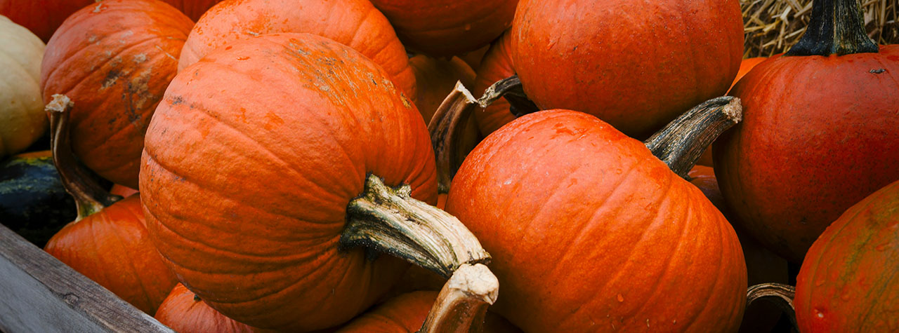 Pile of small orange pumpkins in a brown cart. Image by Eric Prouzet on Unsplash.