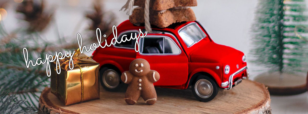 Red toy car has three star-shaped cookies tied to its roof with twine. A gold-wrapped present and small gingerbread boy are next to the car which sits on a circular piece of wood. A pine tree and two pine cones are in the background. White text overlay says: Happy Holidays. Image by Andrea Imre on Pexels + Allergy Force