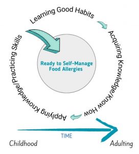 Diagram visualizes flow of food allergy knowledge transfer from parent to child over time. Diagram by Allergy Force on Canva.